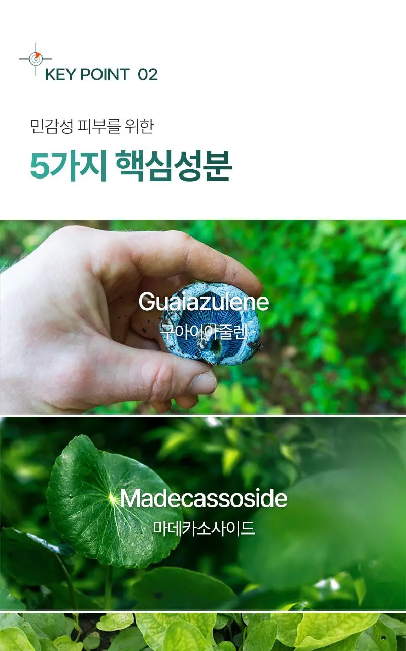 [30ml추가증정/피지밸런싱] 피캄 베리어 사이클 토너 200ml 기획 (+30ml) 상세페이지 24